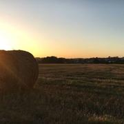 Bruc-sur-Aff 11/08/2016