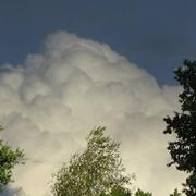 Margerides 15/08/2016