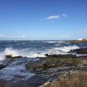 L'Ile-d'Yeu 20/08/2016