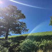 La Salvetat-sur-Agout 23/08/2016