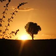 Sens-Beaujeu 26/08/2016