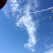 Courtisols 27/08/2016