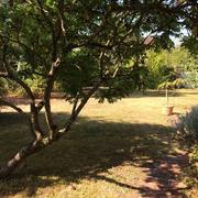 Saint-Aubin-Château-Neuf 28/08/2016