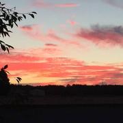 Courmemin 28/08/2016