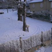 Vieux-Vy-sur-Couesnon 06/01/2010