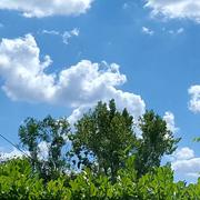 Montpon-Ménestérol 30/08/2016