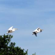 Saint-Aignan 03/09/2016
