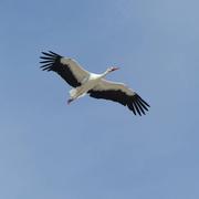 Saint-Aignan 03/09/2016