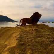 Campomoro 07/09/2016