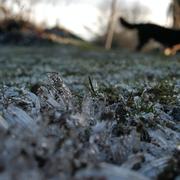 Mérinchal 06/01/2010