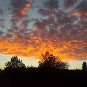 Sainte-Sévère 11/09/2016