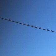 Montagnac-d'Auberoche 11/09/2016