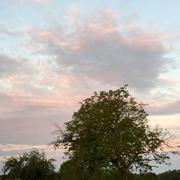 Courtisols 13/09/2016