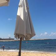 Alexandrie 15/09/2016