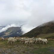 Aragnouet 18/09/2016