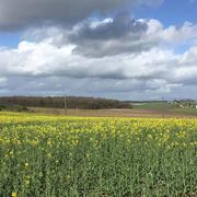 Marcé-sur-Esves 27/09/2016