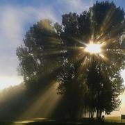 Cerny-en-Laonnois 27/09/2016