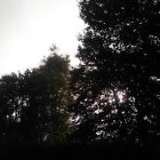 Saint-Michel-sur-Meurthe 28/09/2016