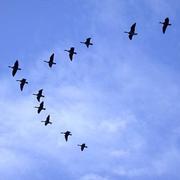 Saint-Bris-le-Vineux 05/10/2016