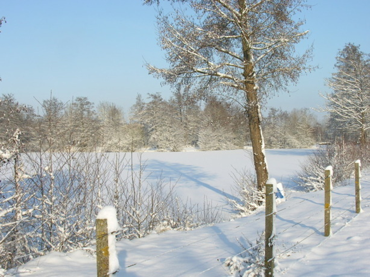 Froid polaire record en Ile-de-France hier matin ! - Actualités La Chaîne Météo