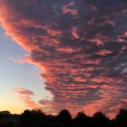 Pleucadeuc 11/10/2016