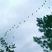 Onesse-Laharie 13/10/2016