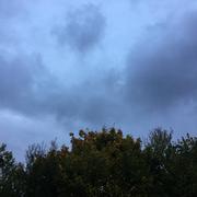 La Coulonche 20/10/2016