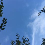 Le Beugnon 26/10/2016