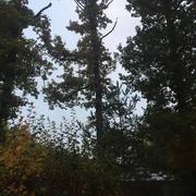 Verneuil-sur-Avre 27/10/2016