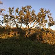 Loubès-Bernac 27/10/2016