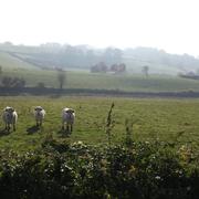 Perrecy-les-Forges 28/10/2016