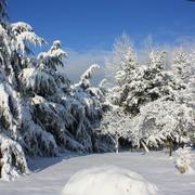 Fontenai-les-Louvets 11/01/2010