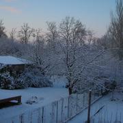 Saint-Domineuc 11/01/2010