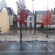 Mauléon-Licharre 13/11/2016