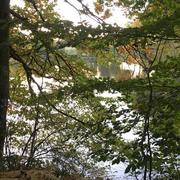 Saint-Sulpice-Laurière 14/11/2016