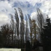 La Bouteille 20/11/2016