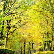 Plounéour-Ménez 24/11/2016