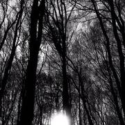 Cisternes-la-Forêt 28/11/2016