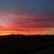 Moisville 28/11/2016