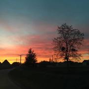 Moisville 28/11/2016