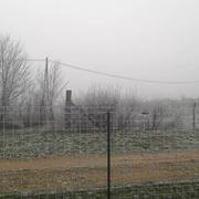 Saint-Cyr-de-Favières 02/12/2016