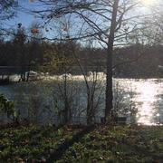 Brienne-la-Vieille 02/12/2016