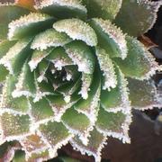 Brienne-le-Château 03/12/2016