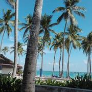 Punta Cana 03/12/2016