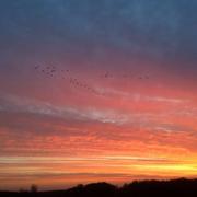 Giffaumont-Champaubert 07/12/2016