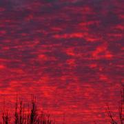 L'Hôpital-le-Mercier 11/12/2016