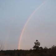 Molières 22/12/2016