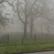 Pierre-de-Bresse 23/12/2016