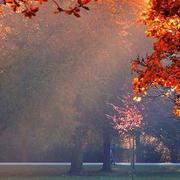 Engelberg 24/12/2016