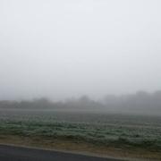 Chavannes 27/12/2016